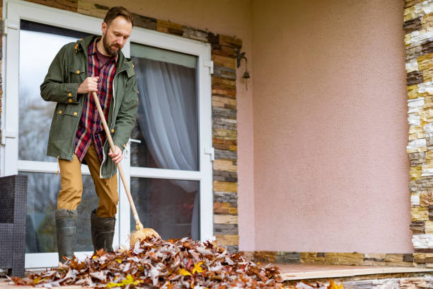 Best Full-Service Junk Removal  in Park Falls, WI